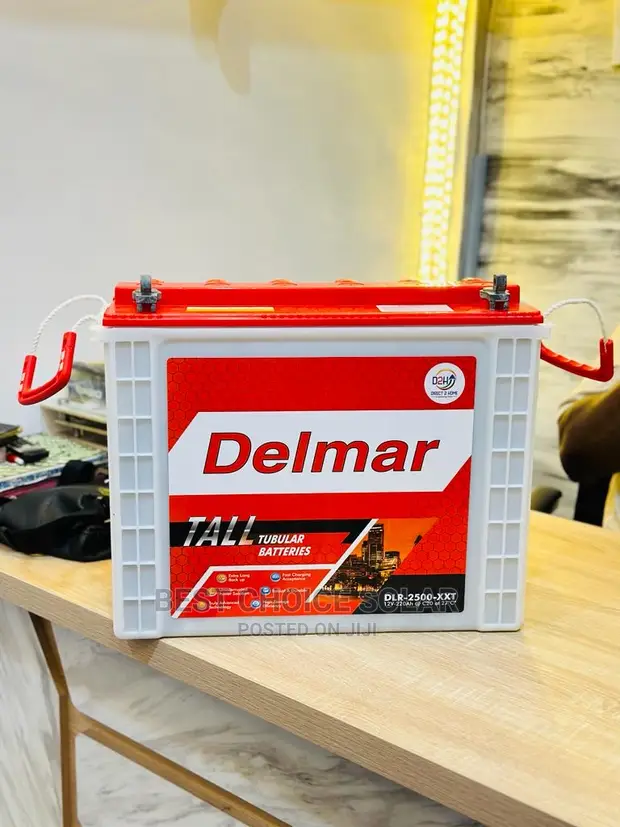 DELMAR Tall Tubular Battery